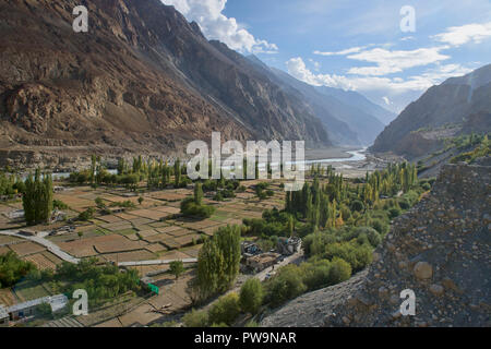 Les champs fertiles dans le village de Balti, Turtuk le long des fleuves Shyok River et plage de Karakoram, Ladakh, Inde Banque D'Images