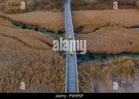 Chemin à pied en bois au-dessus sur le marais de roseaux secs, mère et fils dans la région de yellow jackets traversant le pont, vue aérienne shot Banque D'Images