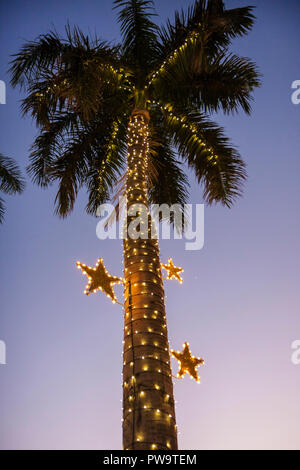 Miami Beach Florida,hôtel de ville,bâtiment,palmiers,crépuscule,soirée,lumières de Noël,vacances d'hiver,saison,saisonnier,décoration,étoile,façade,tropical,traditio Banque D'Images