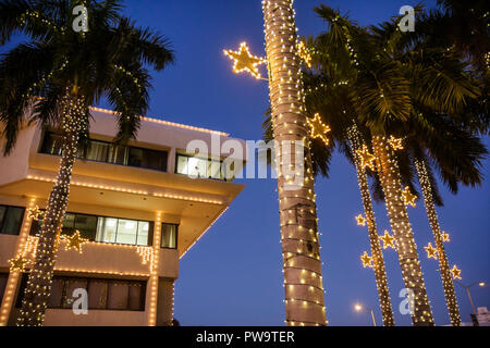 Miami Beach Florida,hôtel de ville,bâtiment,palmiers,crépuscule,soirée,lumières de Noël,vacances d'hiver,saison,saisonnier,décoration,étoile,façade,tropical,traditio Banque D'Images