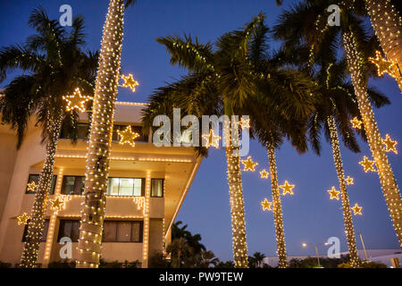 Miami Beach Florida,hôtel de ville,bâtiment,palmiers,crépuscule,soirée,lumières de Noël,vacances d'hiver,saison,saisonnier,décoration,étoile,façade,tropical,traditio Banque D'Images