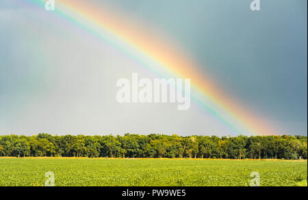 Une intense plein de couleur rainbow apparaît sur un domaine agricole de la Louisiane Banque D'Images