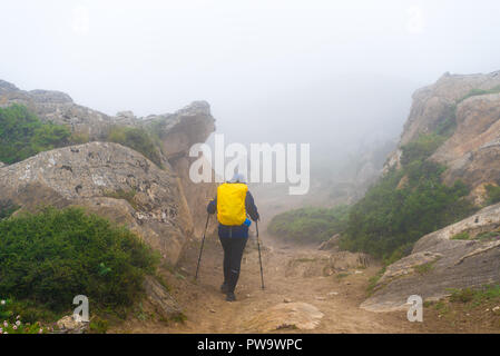 Zone de conservation de l'Annapurna, Népal - Juillet 21, 2018 : Backpackers on foggy chemin de trekking dans l'Annapurna Conservation Area, Népal Banque D'Images