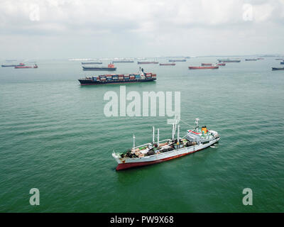 Vue aérienne Drone de navires porte-conteneurs et les pétroliers en attente d'accoster l'île de Sentosa, Singapour. Image prise avec un DJI le 21 août Pro Mavic 2018. Banque D'Images