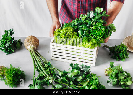 Agriculteur avec des herbes dans la boîte en bois sur le tableau blanc. Concept de récolte Banque D'Images