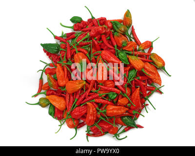 Hot Chili Peppers façonné dans un cercle isolé sur fond blanc, épicé sex food concept Banque D'Images