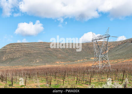 Paysage agricole sur route R46 près de Ceres dans la province occidentale du Cap. L'espalier arbres fruitiers et d'électricité sont visibles Banque D'Images