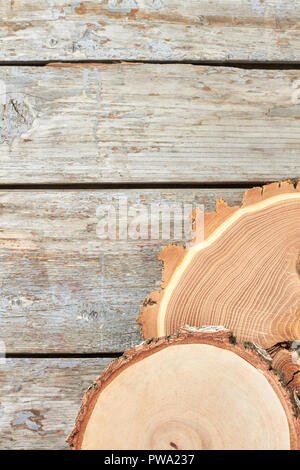 Les disques en bois et de copier l'espace. Coupes en bois naturel. Coupe de bois l'art. Banque D'Images