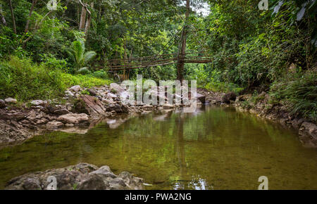 Budlaan chutes d'activités de plein air randonnées le long d'une rivière d'eau du ruisseau en passant le pont de bambou, d'une série d'images dans la province de Cebu Banque D'Images