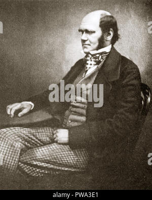 Charles Darwin, 1856 studio photographique portrait du grand naturaliste et scientifique, auteur de l'origine des espèces publiée en 1859 Banque D'Images