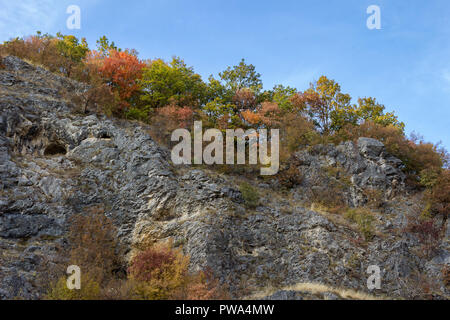 Couleurs étonnantes de forêt d'automne sur la rocky mountain avec ciel bleu au-dessus Banque D'Images