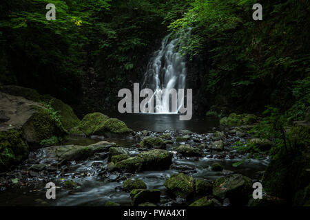 Glenoe Cascade, situé dans la région de Glens d'Antrim, en Irlande du Nord Banque D'Images