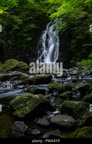 Glenoe Cascade, situé dans la région de Glens d'Antrim, en Irlande du Nord Banque D'Images