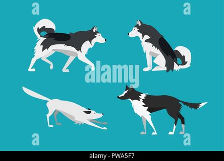 Vector Illustration. Jeu de chiens dans un style design plat. Malamute d'Alaska et Border Collie. Illustration de Vecteur