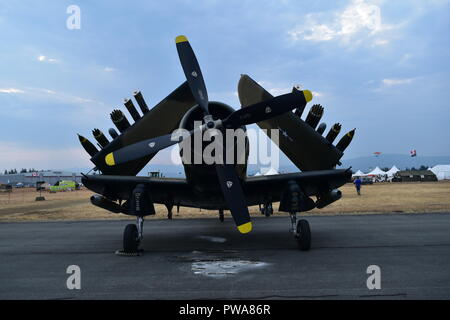 L'A-1 Skyraider l 'Américain' fier a volé au loin l'USS Keersage dans la guerre de Corée avant de servir dans les forces aériennes de plusieurs nations africaines. Banque D'Images