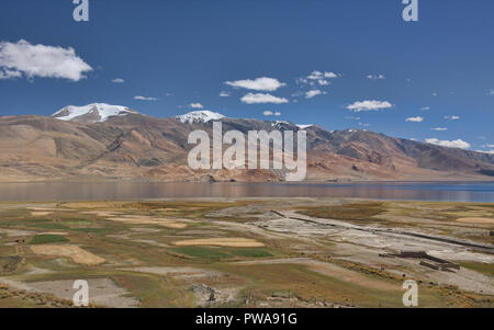 Les champs de blé et d'orge/Tso Moriri Lake, Ladakh, India Banque D'Images