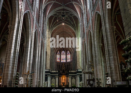 L'église cathédrale Saint-Bavon à Gand, Belgique, Europe Banque D'Images