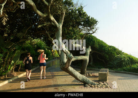 Durban, le KwaZulu-Natal, Afrique du Sud, deux jeunes femelles adultes prendre un jogging le long de la pittoresque bordée d'une large promenade de plage d'Umhlanga Rocks Banque D'Images