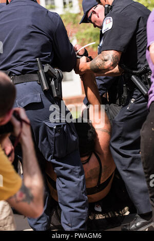 Fidèles chevaliers blancs tenir démonstration dans le parc de la Justice parmi les foules de manifestants Banque D'Images