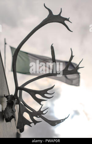 Whitehorse, Canada. Close up de crâne de caribou avec bois étendus dehors à partir de la paroi d'un immeuble avec de brandir le drapeau du Territoire du Yukon dans le vent. Banque D'Images