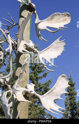 Old Crow, Canada. Les Premières Nations totem à Moose antlers avec ciel bleu en arrière-plan. Banque D'Images