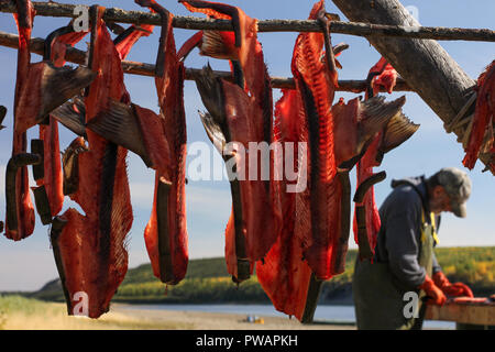 Territoire du Yukon, en Alaska. Vue horizontale de nettoyage de trappeur pour l'hiver du saumon. Banque D'Images