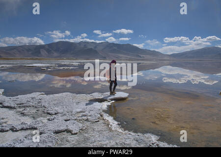Réflexions et des gisements de sel, le lac Tso Kar, Ladakh, Inde Banque D'Images