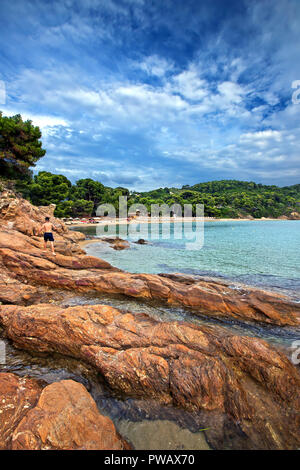 (Megali) plage de Banana, l'île de Skiathos, Sporades du Nord, Magnessia, Thessalie, Grèce. Banque D'Images