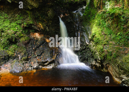 Une cascade dans l'univers magique de marche, dans Glen Rondelles Argyll Forest Park, près de Dunoon, sur la péninsule de Cowal, Argyll and Bute, Ecosse. 10 Septembre 2007 Banque D'Images