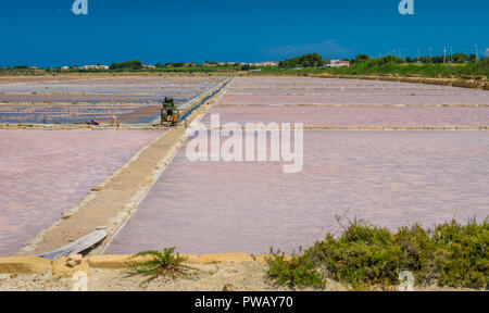 Sel à la réserve naturelle de la "aline de Stagnone' près de Marsala et Trapani, Sicile. Banque D'Images