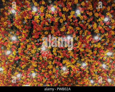 De nombreux cartons jaunes et rouges belle fleur Banque D'Images