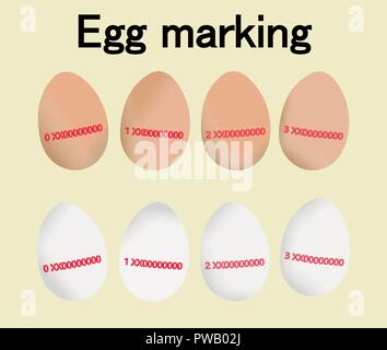 Le marquage des oeufs, ensemble avec l'autre classe de codes d'oeufs. Red code ou l'étiquette sur les règlements sur la production et l'origine des aliments. Vecteur isolé. Illustration de Vecteur