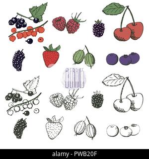 Collection de petits fruits. Jeu de la main de baies dans le vector. Les baies de cassis.sketch vintage, de framboise, de bleuet, de cerise, mûre, mûre, gooseberr Illustration de Vecteur