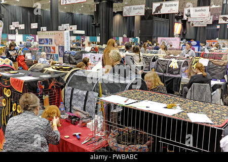 Cleveland, Ohio, États-Unis, 14th octobre 2018.Les participants et les spectateurs du salon international Cat 2018 de l'Association des amateurs de Cat créent une ruche d'énergie au Cleveland IX Center.Les rangées de cages de bennage de chat sont organisées par race, les panneaux suspendus au plafond donnant aux participants du spectacle, et aux visiteurs, des indications visuelles sur l'endroit où certaines races sont préparées pour leurs compétitions.Un propriétaire de chat nourrit son chat dans un secteur de benching qui est également utilisé pour le toilettage de son félin pedicused.Avec jusqu'à 1 000 chats généalogiques, dont jusqu'à 41 races, la compétition est la plus importante du genre. Banque D'Images