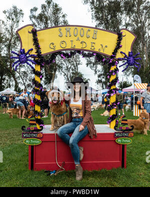 Huntington Beach, USA. 14Th Oct, 2018. Huntington Beach, CA. Des centaines de golden retrievers se rassemblent à l'Huntington Central Park pour le 2e rapport annuel Palooza Goldie, bénéficiant de l'événement de sauvetage dans la région de Los Angeles et à Porto Rico le dimanche, Octobre 14, 2018. Credit : Benjamin Ginsberg/Alamy Live News Banque D'Images