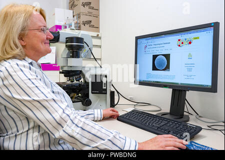 Vienne, Autriche. 12 octobre, 2018. Le professeur Martina Weber travaille dans le laboratoire de l'Institut de botanique de l'université avec la plus grande base de données polliniques 'paldat.org'. Elle est l'un des rares experts dans le monde entier de se spécialiser en médecine légale l'analyse pollinique. Des criminologues, y compris de l'Office fédéral de la Police criminelle, faire un pèlerinage à elle en vienne à s'enquérir de la méthode. (Dpa Le pollen "profilers - avec du pollen sur une chasse') : Jan Gott/dpa/Alamy Live News Banque D'Images