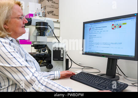 Vienne, Autriche. 12 octobre, 2018. Le professeur Martina Weber travaille dans le laboratoire de l'Institut de botanique de l'université avec la plus grande base de données polliniques 'paldat.org'. Elle est l'un des rares experts dans le monde entier de se spécialiser en médecine légale l'analyse pollinique. Des criminologues, y compris de l'Office fédéral de la Police criminelle, faire un pèlerinage à elle en vienne à s'enquérir de la méthode. (Dpa Le pollen "profilers - avec du pollen sur une chasse') : Jan Gott/dpa/Alamy Live News Banque D'Images