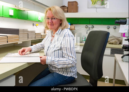 Vienne, Autriche. 12 octobre, 2018. Le professeur Martina Weber travaille dans le laboratoire de l'Institut de botanique de l'université. Elle est l'un des rares experts dans le monde entier de se spécialiser en médecine légale l'analyse pollinique. Des criminologues, y compris de l'Office fédéral de la Police criminelle, faire un pèlerinage à elle en vienne à s'enquérir de la méthode. (Dpa Le Pollen "Profiler - avec du pollen sur les Hunt' à partir de 15.10.2018) : Jan Gott/dpa/Alamy Live News Banque D'Images