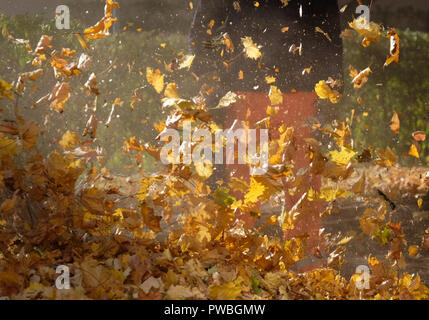 Leipzig, Saxe. 15 Oct, 2018. Un employé de la Leipziger Stadtreinigung fonctionne avec un ventilateur de feuille. Credit : Sebastian Willnow/dpa-Zentralbild/dpa/Alamy Live News Banque D'Images