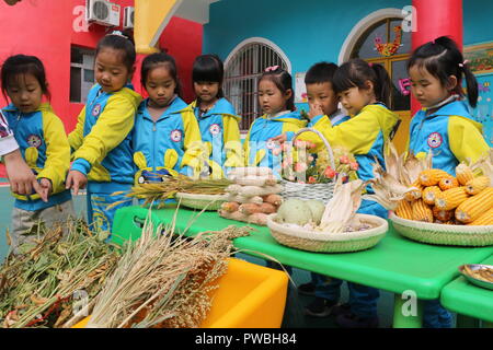 Shanghai, Beijing, Chine. 15 Oct, 2018. Lianyungang, CHINE-Les enfants apprennent à reconnaître différents grains à un jardin d'enfants à Xuzhou, Jiangsu Province de Chine orientale, marquant la Journée mondiale de l'alimentation à venir qui tombe le 16 octobre chaque année. Crédit : SIPA Asie/ZUMA/Alamy Fil Live News Banque D'Images