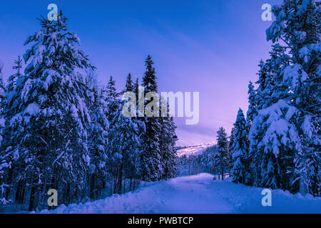 Coucher du soleil hiver paysage. Vide route qui traverse la forêt de sapins couverts de neige en Laponie, Finlande. Ski de montagne illuminés de la station de ski de Levi Banque D'Images