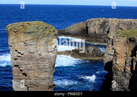 Stromnessr Yesnaby, falaises, Orcades, Ecosse, Highlands, Royaume-Uni Banque D'Images