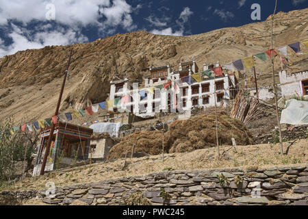 La récolte d'orge à Hinju village, Ladakh, Inde Banque D'Images