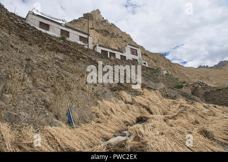 La récolte d'orge à Hinju village, Ladakh, Inde Banque D'Images