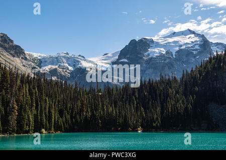 Vue sur le lac Joffre inférieur avec des pins et de la neige caped montagnes à British Columbia canada Banque D'Images