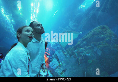 Teenage girl with Dad admirer la vie marine dans le tunnel de verre de l'aquarium de Dubai Mall Banque D'Images