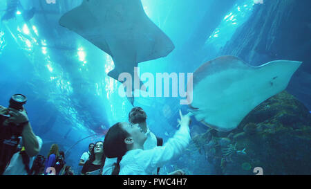 Teenage girl with Dad admirer la vie marine dans le tunnel de verre de l'aquarium de Dubai Mall Banque D'Images