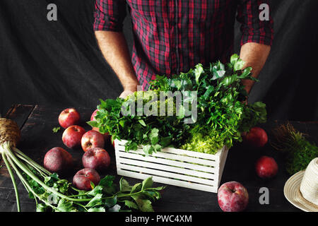 Agriculteur avec des herbes en boîte bois concept de récolte Banque D'Images