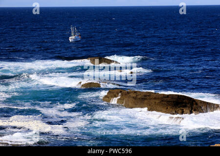 Stromnessr Yesnaby, falaises, Orcades, Ecosse, Highlands, Royaume-Uni Banque D'Images