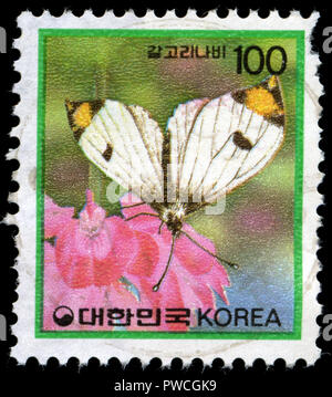 Timbre cachet de la Corée du Sud dans la série des insectes publié en 1991 Banque D'Images